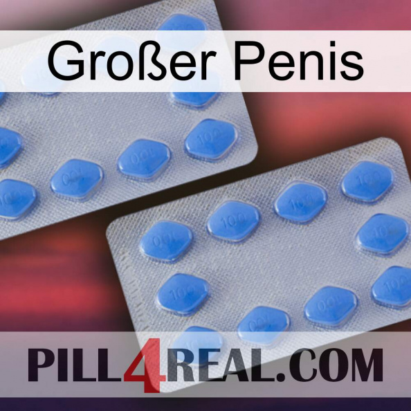 Großer Penis 20.jpg